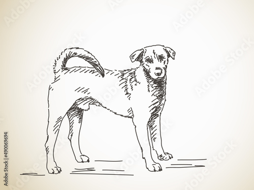 Sketch of dog. Hand drawn illustration. Isolated