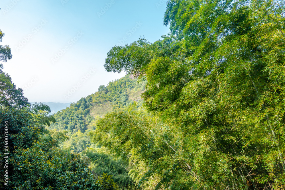 Jianglang Mountain, Shimen Town, Jiangshan City, Quzhou City, Zhejiang Province, China Jianglang Mountain, Shimen Town, Jiangshan City, Quzhou City, Zhejiang Province, China