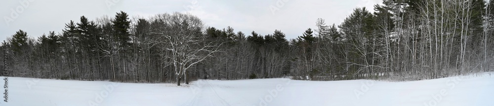 Panoramic scenic view of a field in winter in the Adirondacks Panoramic scenic view of a field in winter in the Adirondacks