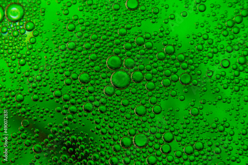 Bubbles in oil in water on green colour abstract background