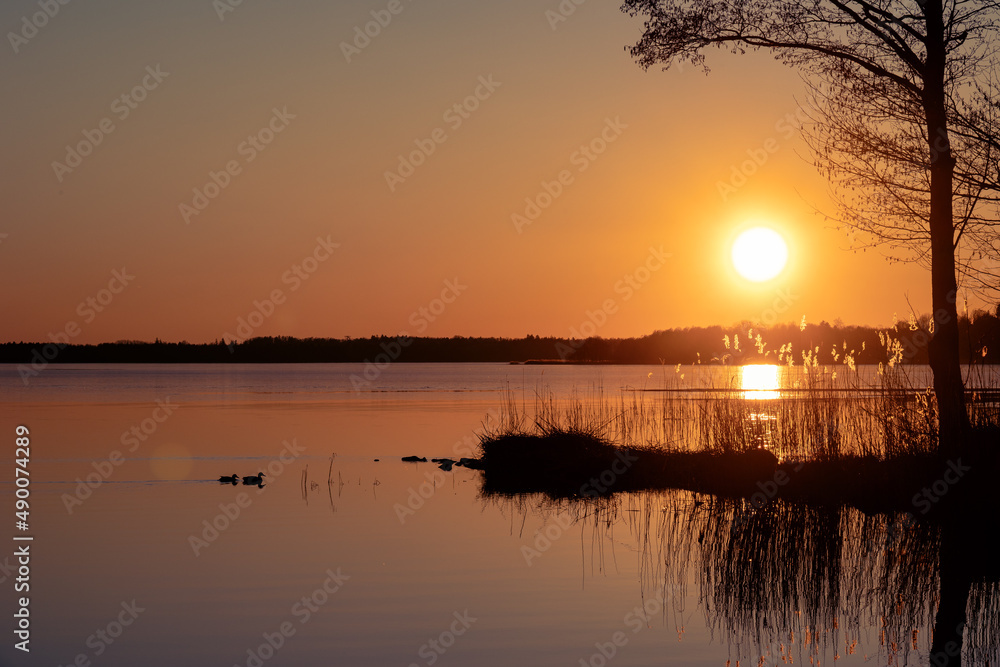 Fototapeta premium sunset over the lake