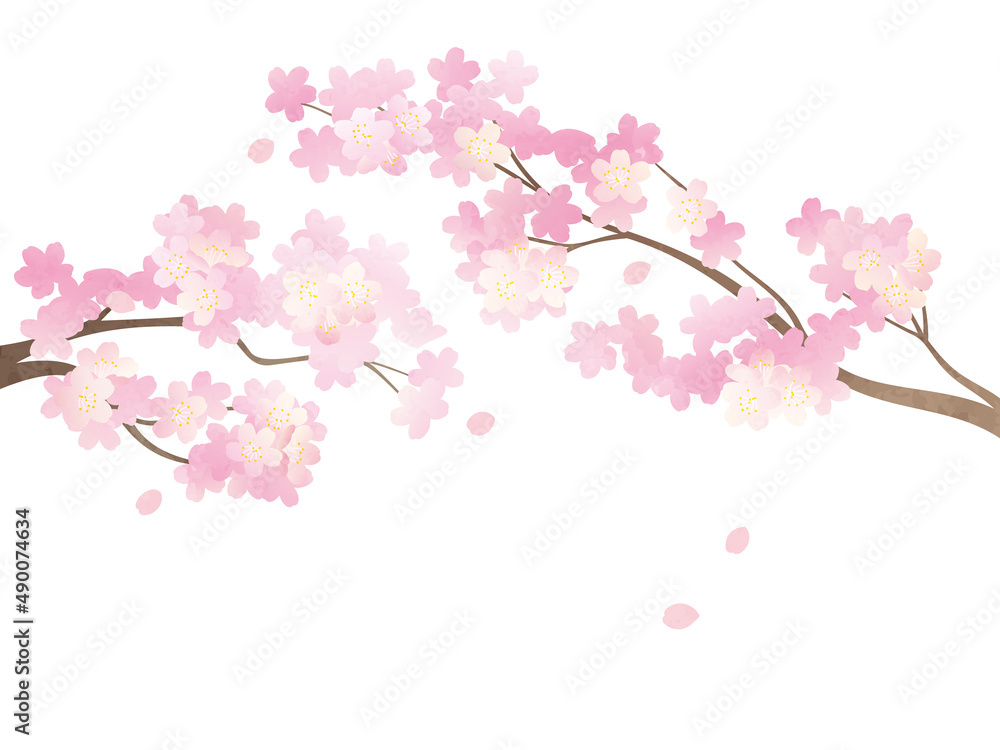 満開の桜イラスト