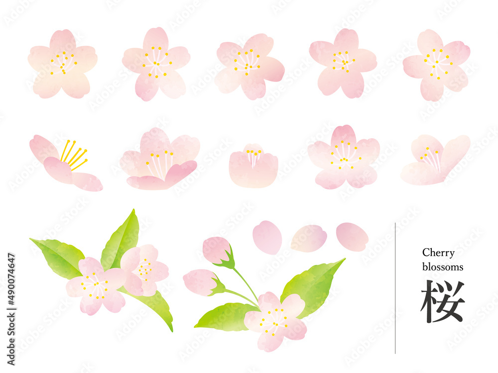 桜の水彩風イラストセット