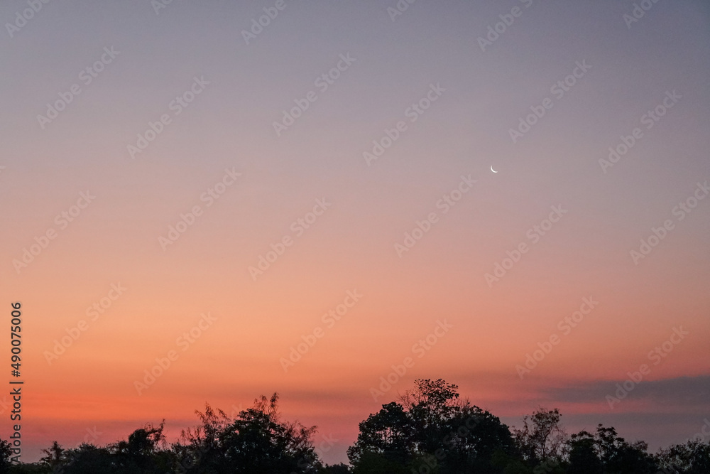 orange-pink sky at dawn, colorful sky, dawn sky background, copy space
