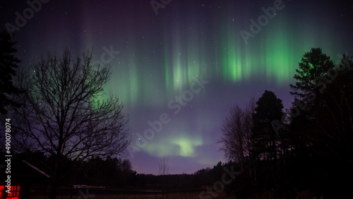 The Northern Lights Curtains, Aurora Borealis photo