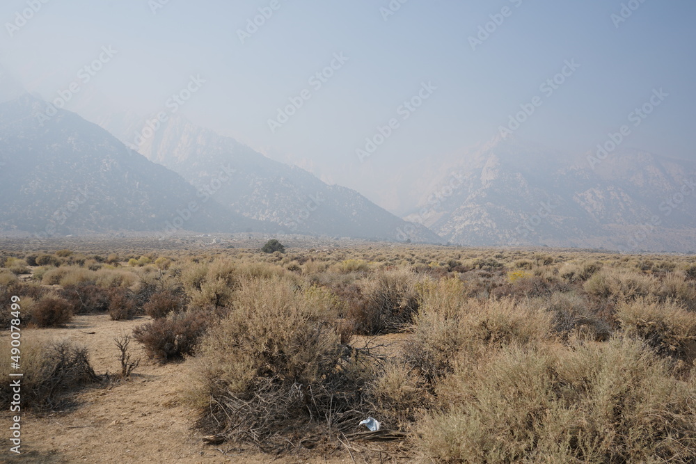 Fototapeta premium カリフォルニア州 シエラネバダ山脈 ホイットニー山 風景