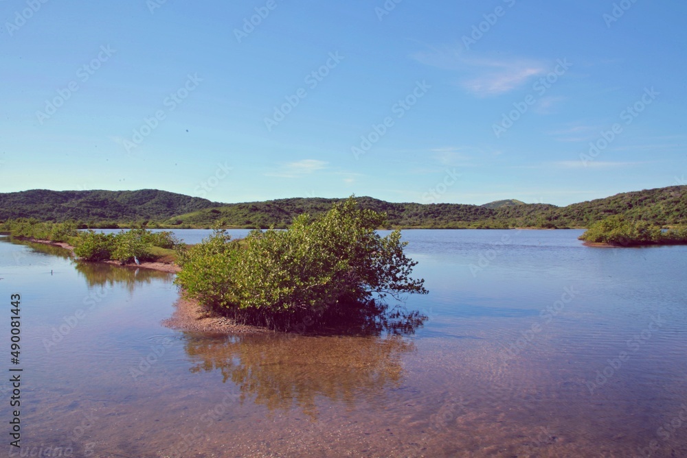 Caminho verde b