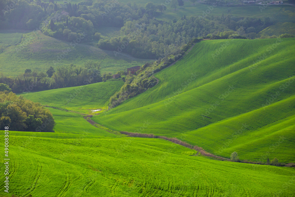 Orcia Valle, green rolling landscape in Tuscany, Italy