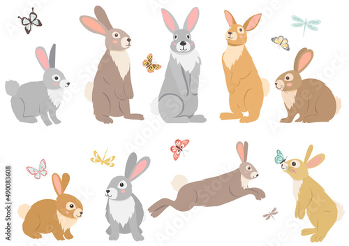 rabbits  hares set  flat design collection  isolated vector