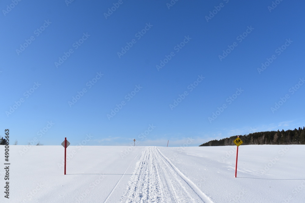 Fototapeta premium A snowmobile trail under a blue sky, Québec, Canada