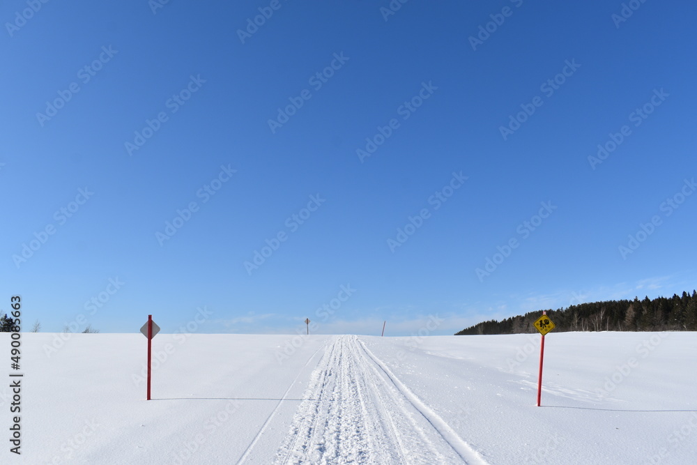 A snowmobile trail under a blue sky, Québec, Canada