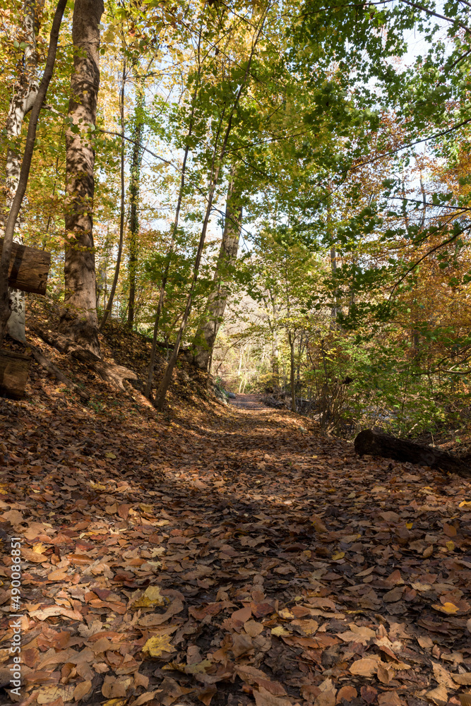 Hiking along a dirt trail, Rock Creek Park, Washington DC Hiking along a dirt trail, Rock Creek Park, Washington DC