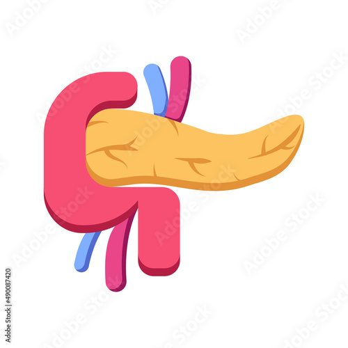 pancreas flat icon, medical icon