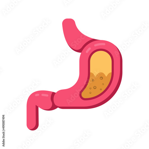 stomach icon vector. medica icon