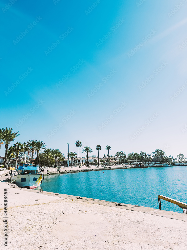 Beautiful sea promenade with boats and palm trees. 