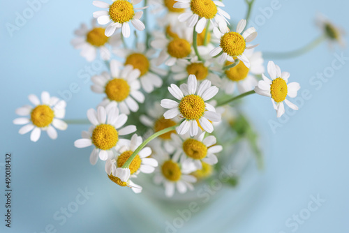 Fresh bouquet of chamomile flowers on the blue background. Close up. Selective focus 