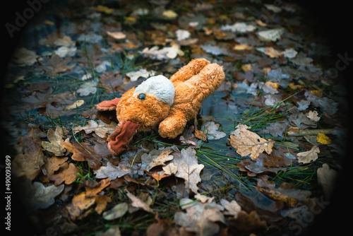Lost toy. Dog, soft toy fell into cold water. Concept child or animal care, misfortune, lost, trouble, sorrow or distress. © Tatiana