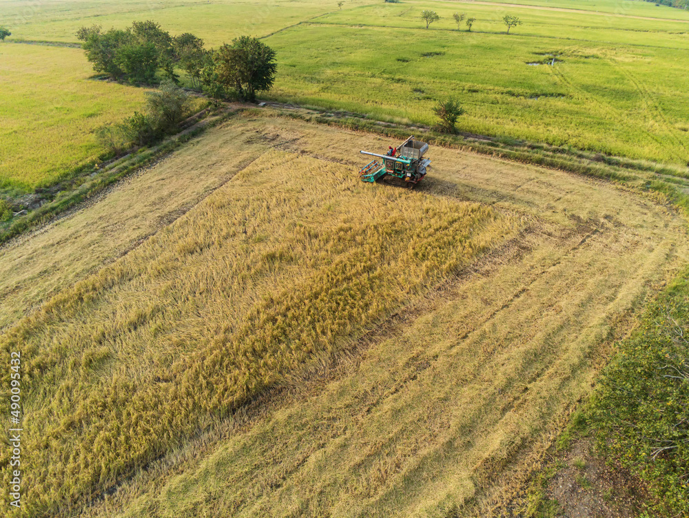 Obraz premium Harvester working in the field. Combine harvester farming machine harvesting golden ripe wheat agriculture aerial view from above.