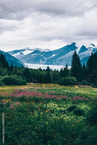 Lac de montagnes et forêt.  © Adrien