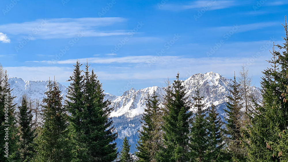 Scenic view of snow capped mountain peaks of Karawanks from Sinacher Gupf in Carinthia, Austria. Mount Hochstuhl (Stol) is visible through dense forest in early spring. Rosental on sunny day. Freedom Scenic view of snow capped mountain peaks of Karawanks from Sinacher Gupf in Carinthia, Austria. Mount Hochstuhl (Stol) is visible through dense forest in early spring. Rosental on sunny day. Freedom