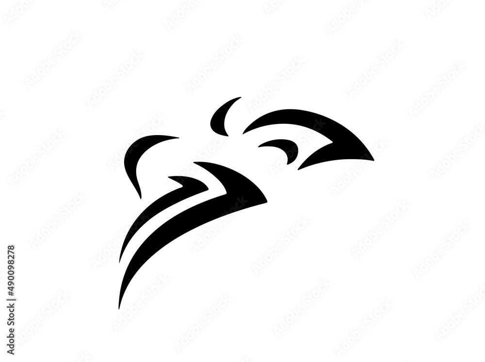 Fototapeta premium head of an eagle