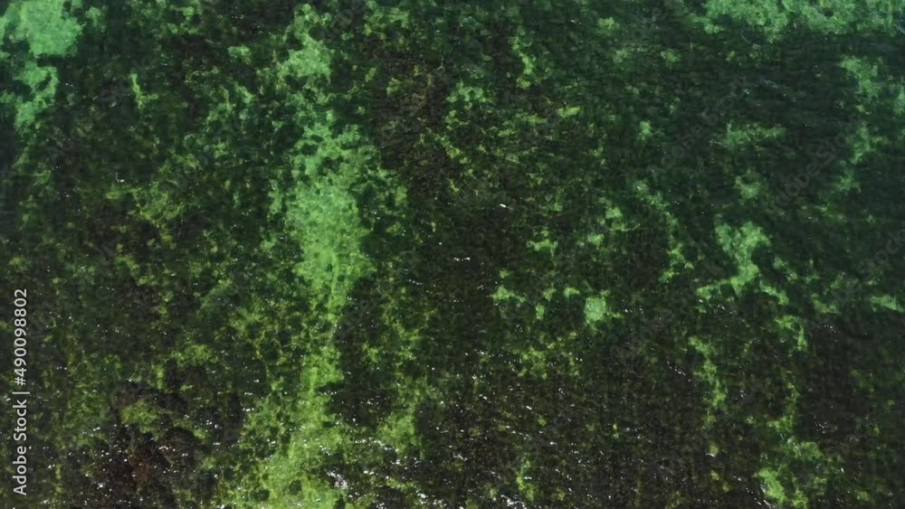 Top view of the transparent sea in shallow water. Aerial view of small waves ripples on the surface of the ocean. Sea background on a sunny day Top view of the transparent sea in shallow water. Aerial view of small waves ripples on the surface of the ocean. Sea background on a sunny day