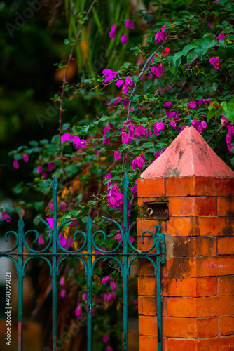 beautiful nostalgic photo of a brick fence with an iron patterned gate garden with beautiful purple plants, at dusk