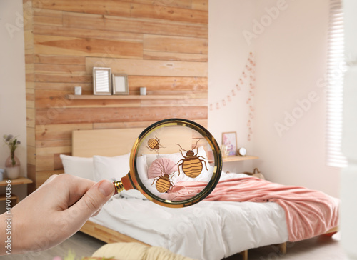 Woman with magnifying glass detecting bed bugs in bedroom, closeup