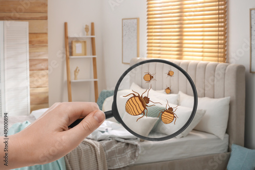 Woman with magnifying glass detecting bed bugs in bedroom, closeup