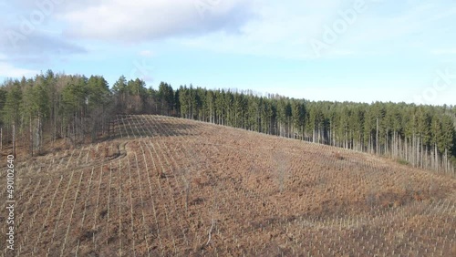 Aerial natural landscape woodland marked with pits dug for tree plantation for restoring damaged forests for compensatory deforestation photo