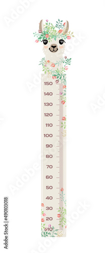 Stadiometer llama for kids Meter wall or height chart centimeter and foot, pastel colors, animal isolated on white background.