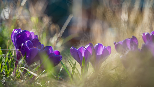 Frühling