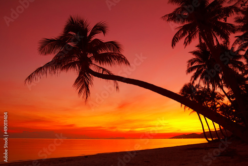 Tropical beach with coconut palm tree silhouette at vivid warm sunset