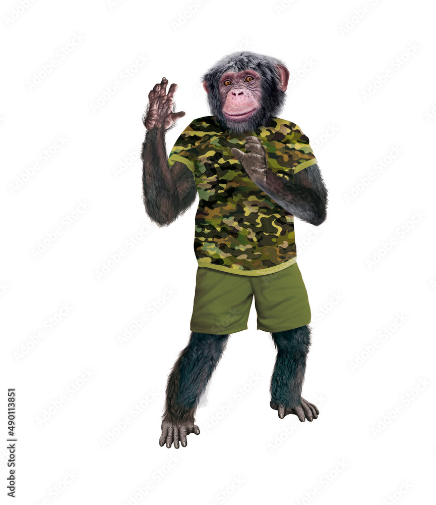 chimpanzé, habillé, militaire, camouflage, zoo, zoologique, soldat, attitude, model, mouvement, drôle , armé, salut, sympa, guère , sport,
chimpanzé, habillé, militaire, camouflage, zoo, zoologique, soldat, attitude, model, mouvement, drôle , armé, salut, sympa, guère , sport,