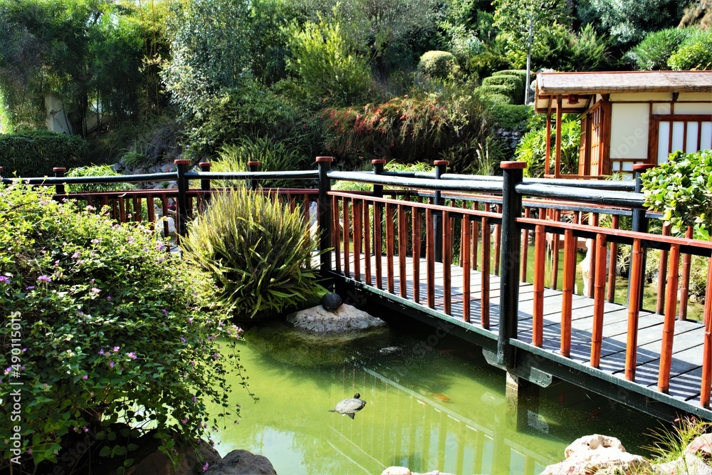 Fototapeta premium Zen garden