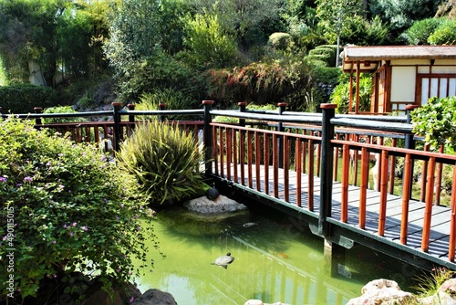 Zen garden