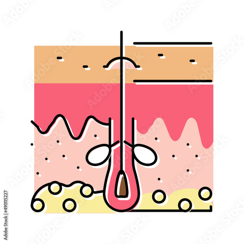 sebum skin production color icon vector illustration