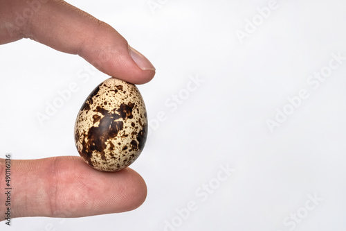 quail egg in man's hand on a white background close-up. The concept of healthy eating. Development of poultry farming and home farm. Copy space