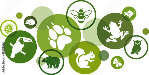 Biodiversity vector illustration. Green concept with icons related to the ecosystem, fauna & biology, different animals / wildlife, environmental protection, ecology, sustainability. photo