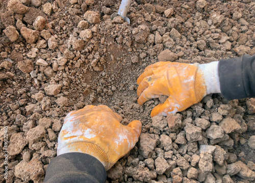 Farmer in yellow gloves digging dry soil. Digging and searching the deserted soil. Plowing the land. Growing vegetables on the balcony. 