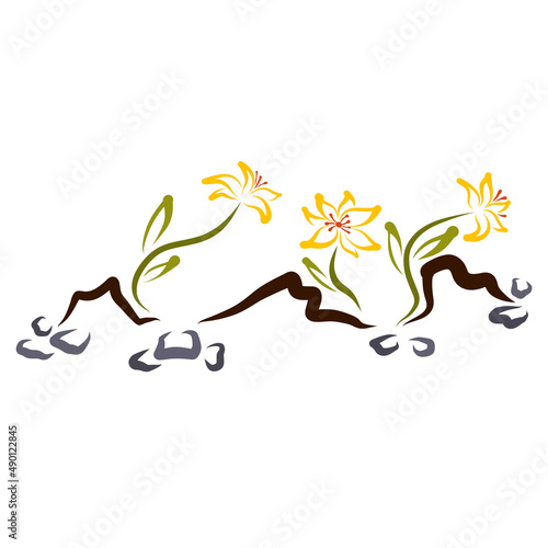 Three blooming lilies on dry, rocky soil