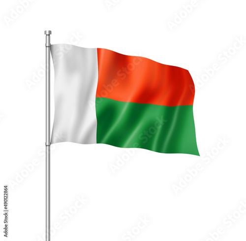 Madagascar flag isolated on white