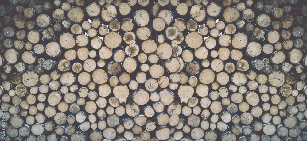 Stack of tree trunks. Texture background Stack of tree trunks. Texture background