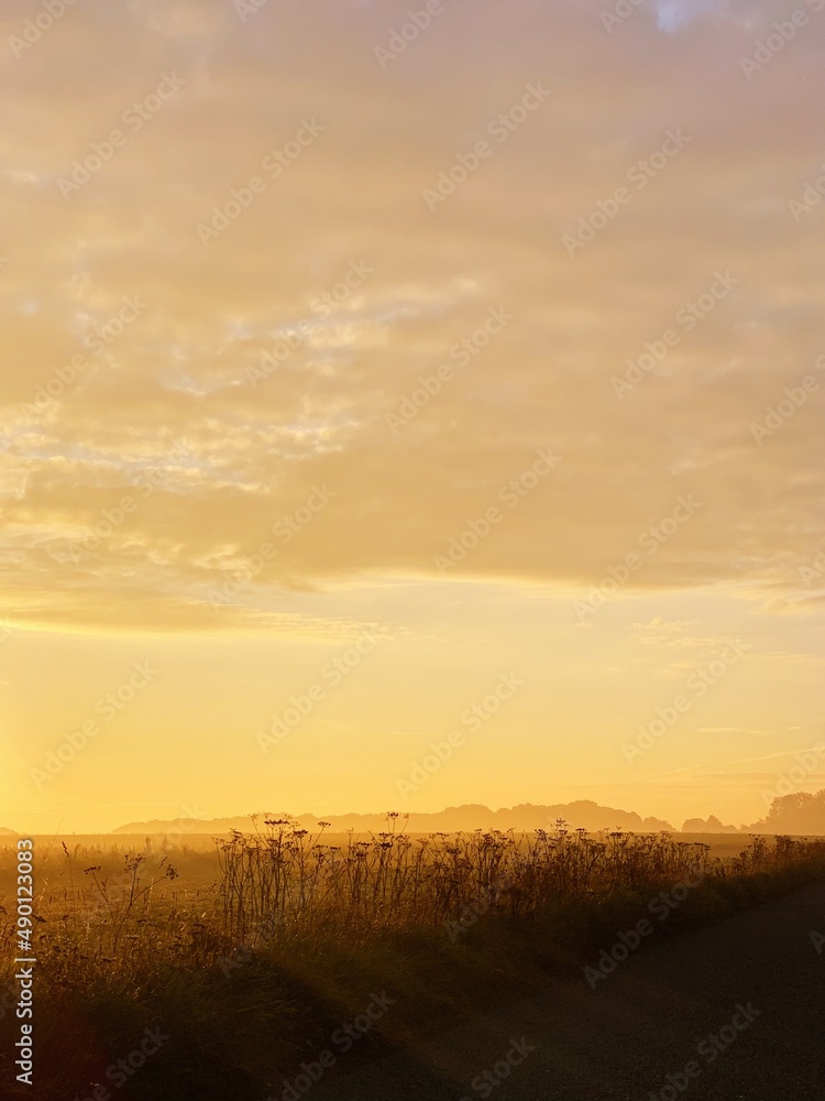 Sunrise across the field