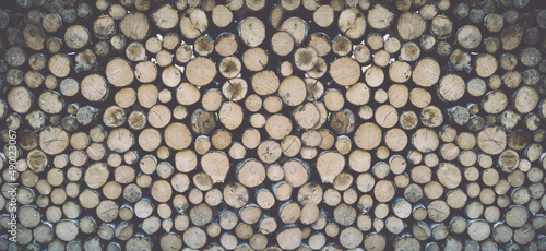 Stack of tree trunks. Texture background