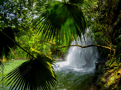 View of a hidden waterfall located in Mauritius 