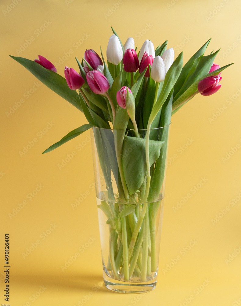 Tulips lots of in transparent vase on yellow Tulips lots of in transparent vase on yellow