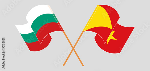 Crossed and waving flags of Bulgaria and Tigray photo