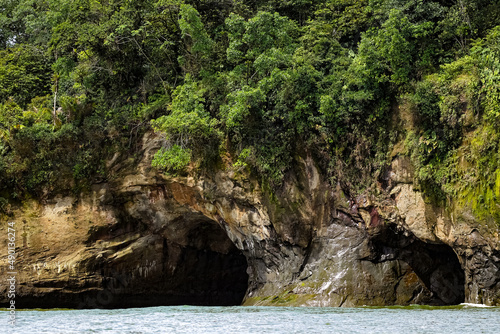 Closeup view of the rocks and trees near the coast of Buenaventura, Colombia photo