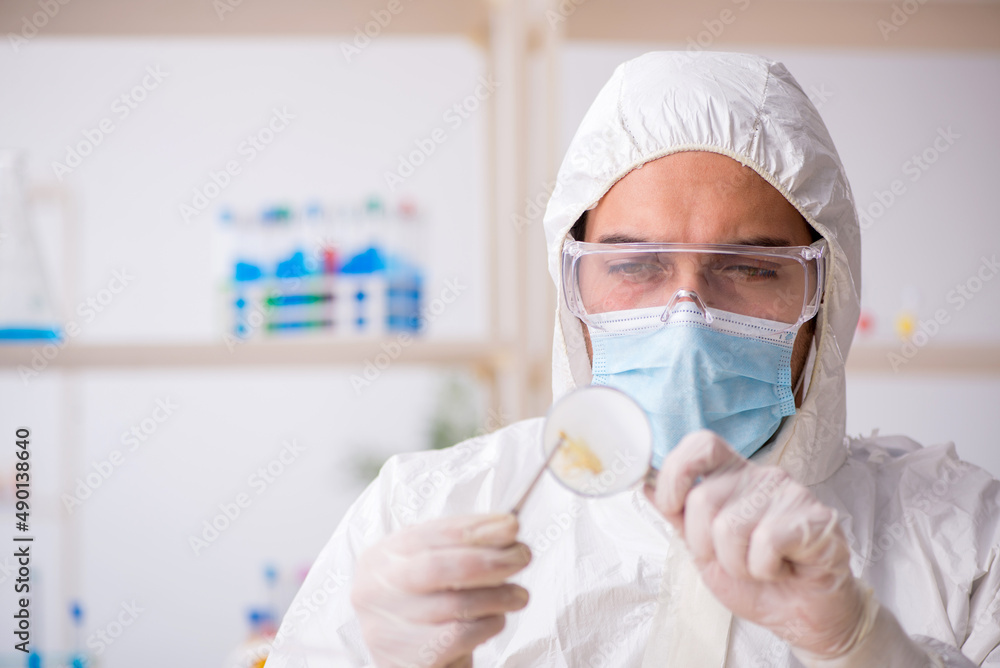 Young male chemist zoologist working at the lab during pandemic Young male chemist zoologist working at the lab during pandemic
